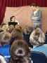teatr moralitet